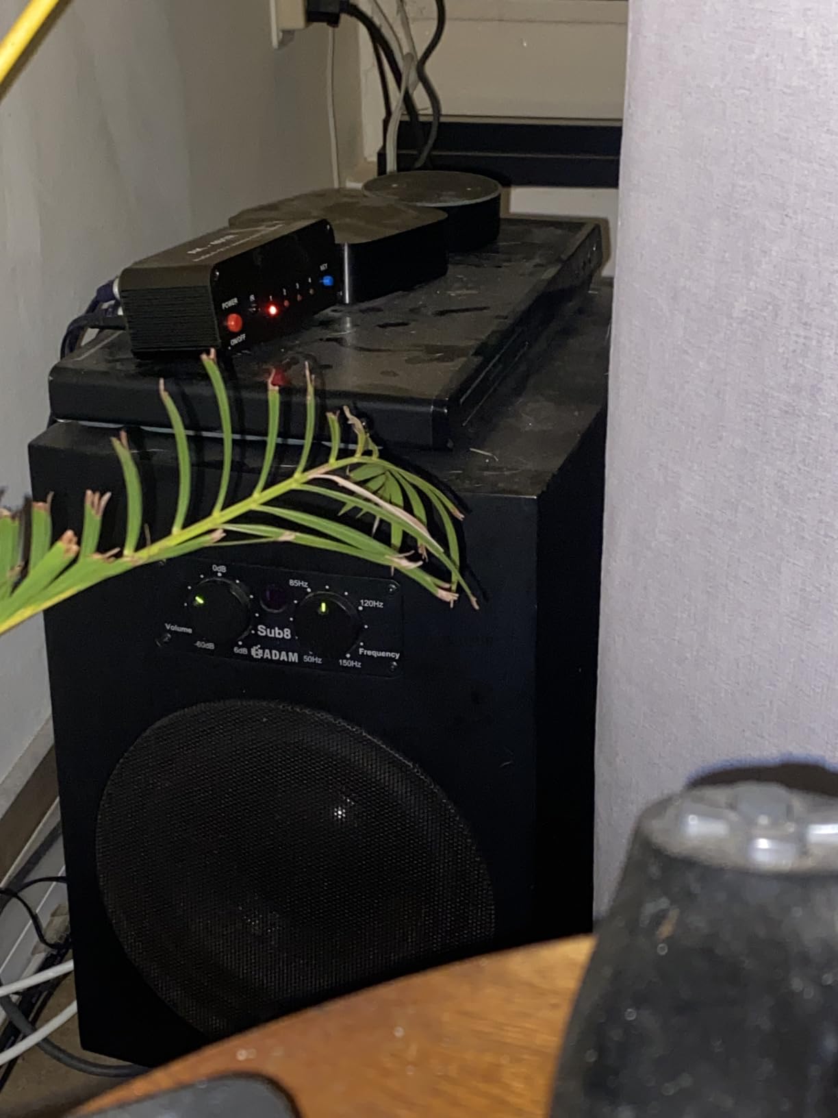 ADAM Audio Sub8 8-Inch Powered Studio Subwoofer customer photo 1