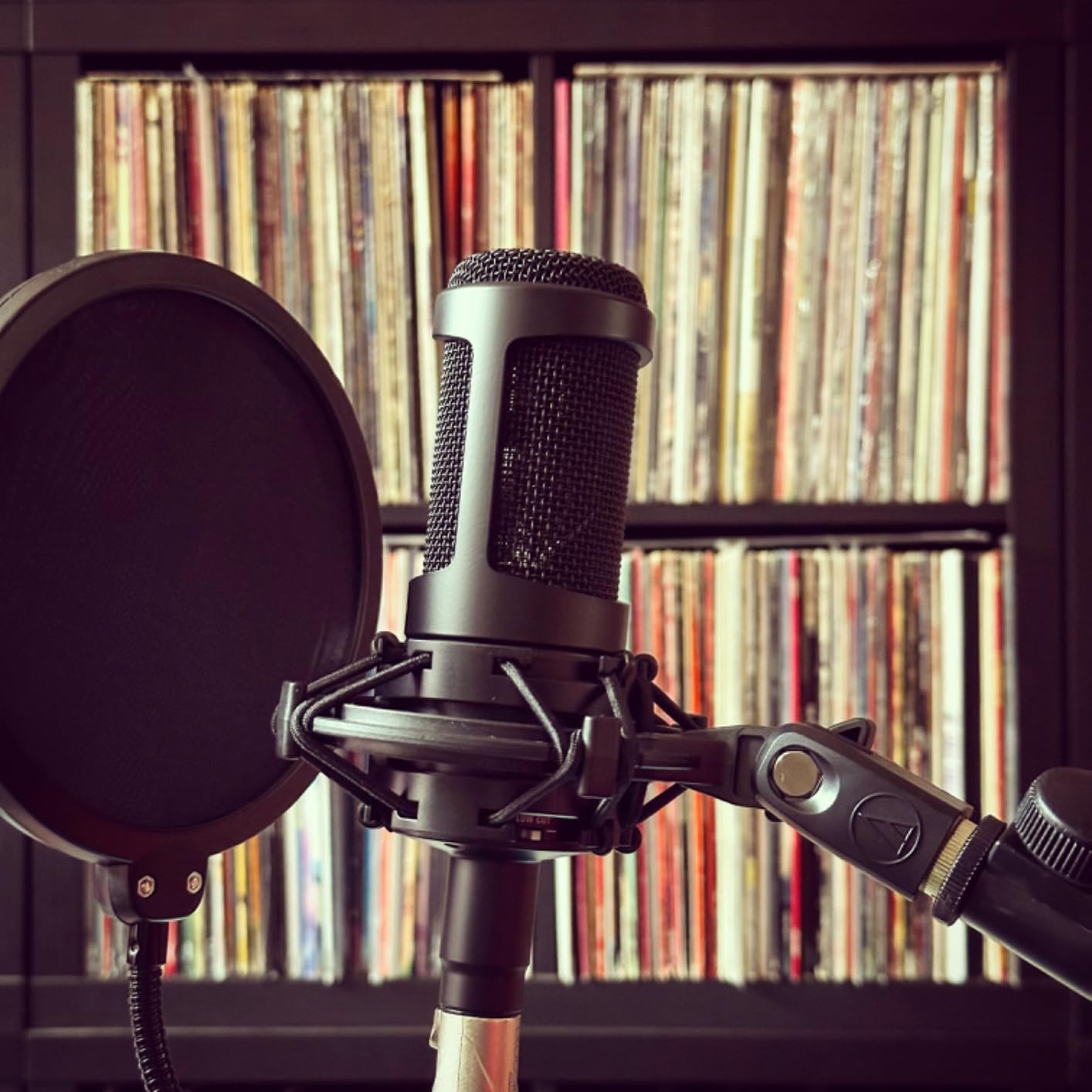 Audio-Technica AT2035 Cardioid Condenser Microphone customer photo 2