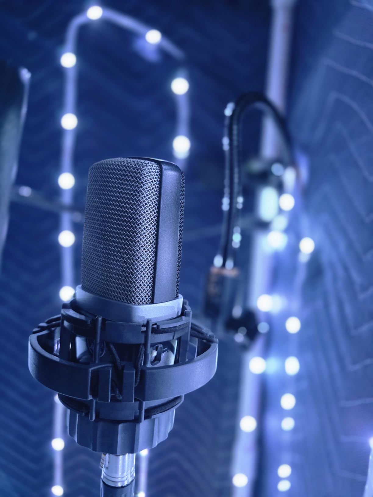 AKG Pro Audio C214 Studio Grade Professional Large Diaphragm Condenser Microphone customer photo 2