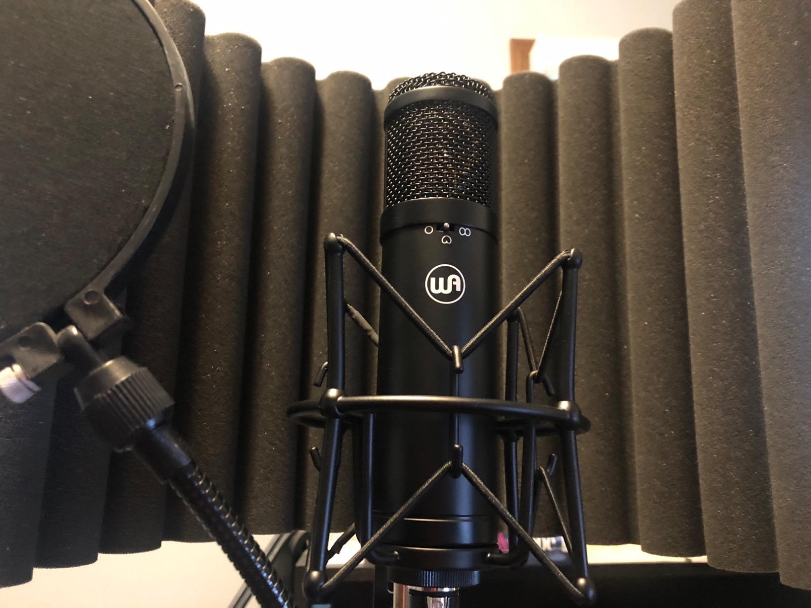 WA47jr Large Diaphragm Condenser Mic customer photo 2