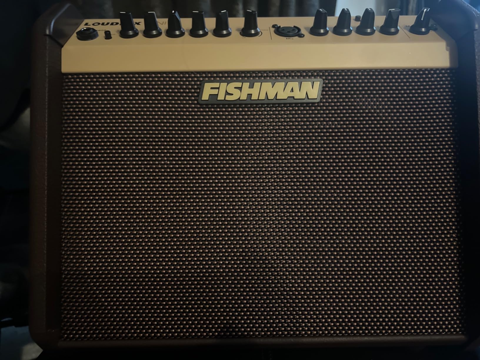 Fishman Acoustic Guitar Amplifier (PRO-LBT-500) Brown customer photo 2