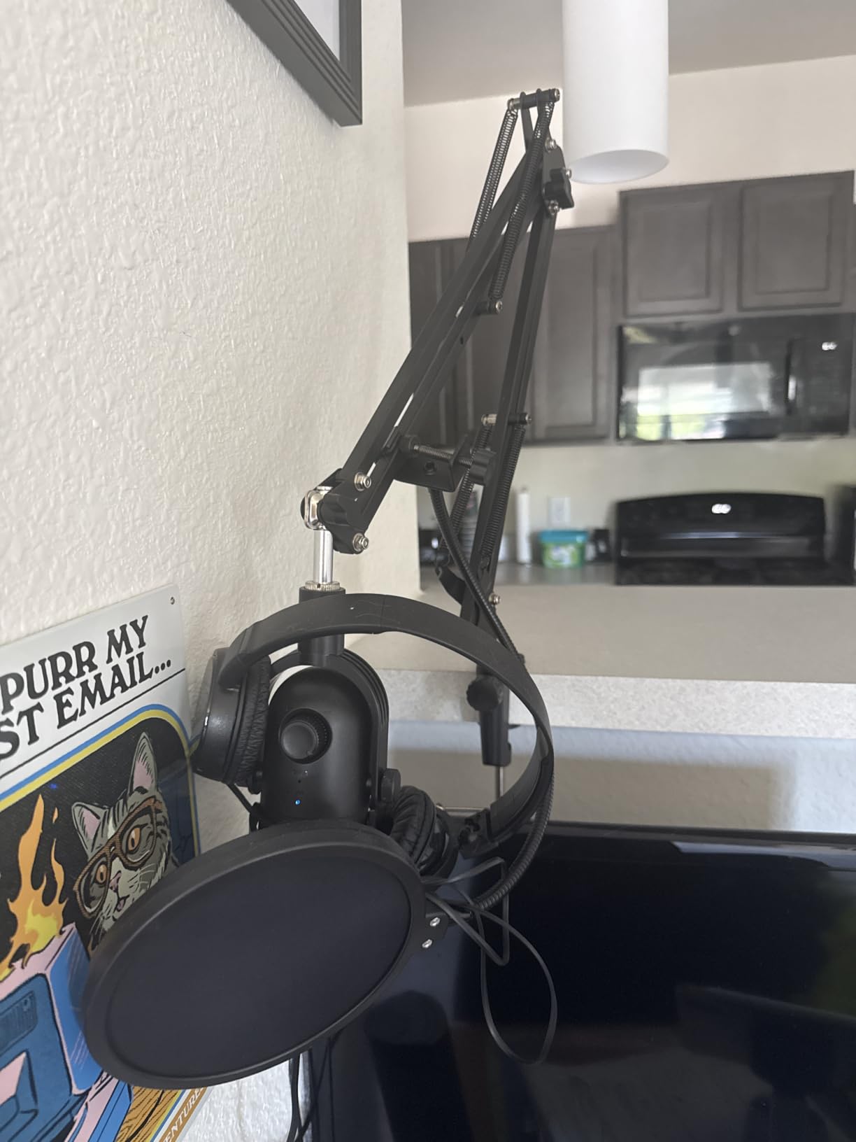 InnoGear Microphone Stand Mic Boom Arm for Blue Yeti HyperX QuadCast S SoloCast Snowball Fifine K669B and other Mic, with Shock Mount Windscreen Pop Filter Mic Clip Holder Cable Ties customer photo 2