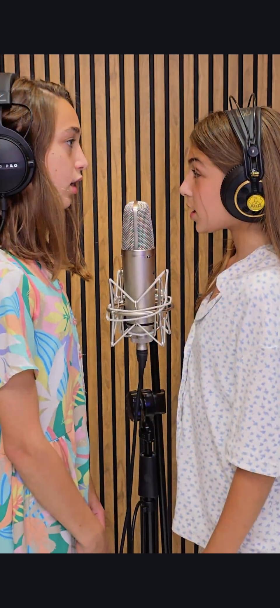 WA87 R2 Large-Diaphragm Condenser Microphone - Nickel customer photo 2