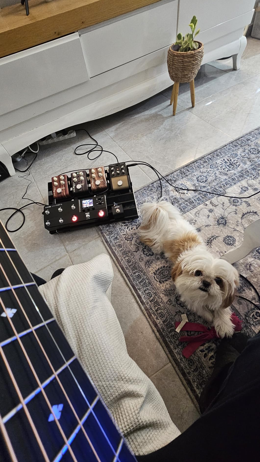 HX Stomp XL customer photo 2