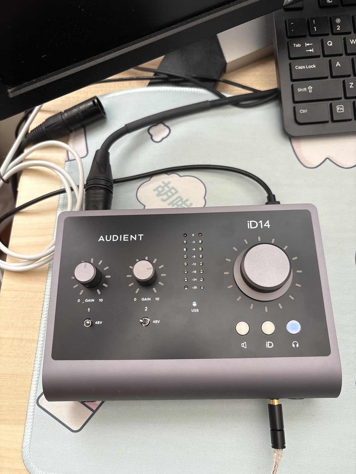 Audient iD14 MKII Audio Interface, 2 Class-A Microphone Preamps (High Performance USB Audio Interface, USB-C Connector, Monitor Mix and Monitor Panning Function, 2 Headphone Outputs), Black customer photo 2