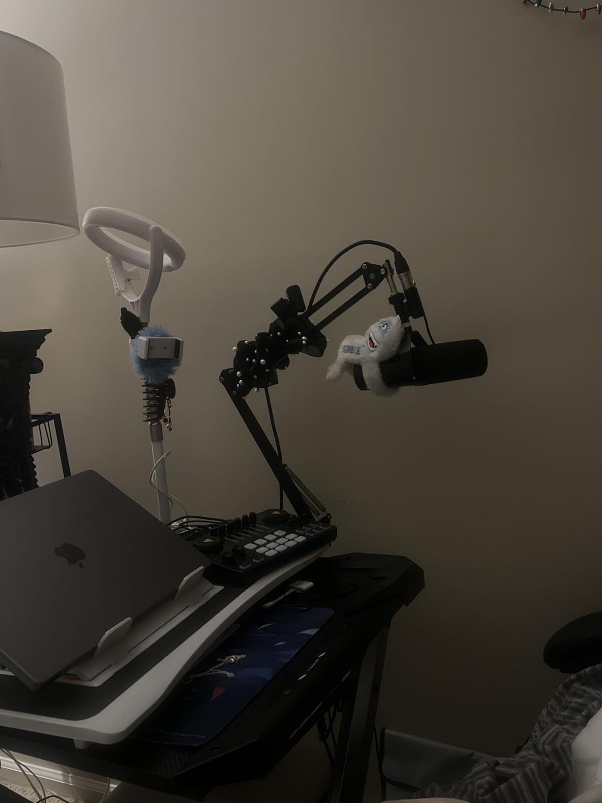 Shure MV7X XLR Dynamic Microphone for Podcasting, Streaming & Vocal Recording customer photo 2