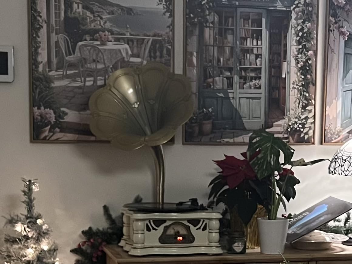 Wooden Vintage Gramophone Record Player, Retro Phonograph Record Players, 3 Speed Turntable for Vinyl Records with Bluetooth Play/USB Play/FM for Home/Office/Hotel/Christmas/Birthday/Party customer photo 1
