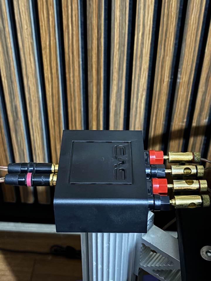 SVS SoundPath Speaker Level Subwoofer Adapter, Home Audio Line Out Converter, Stereo RCA Output customer photo 1