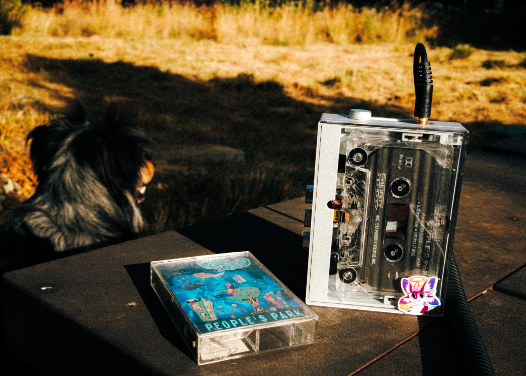 FiiO CP13 Cassette Player (Transparent) customer photo 2