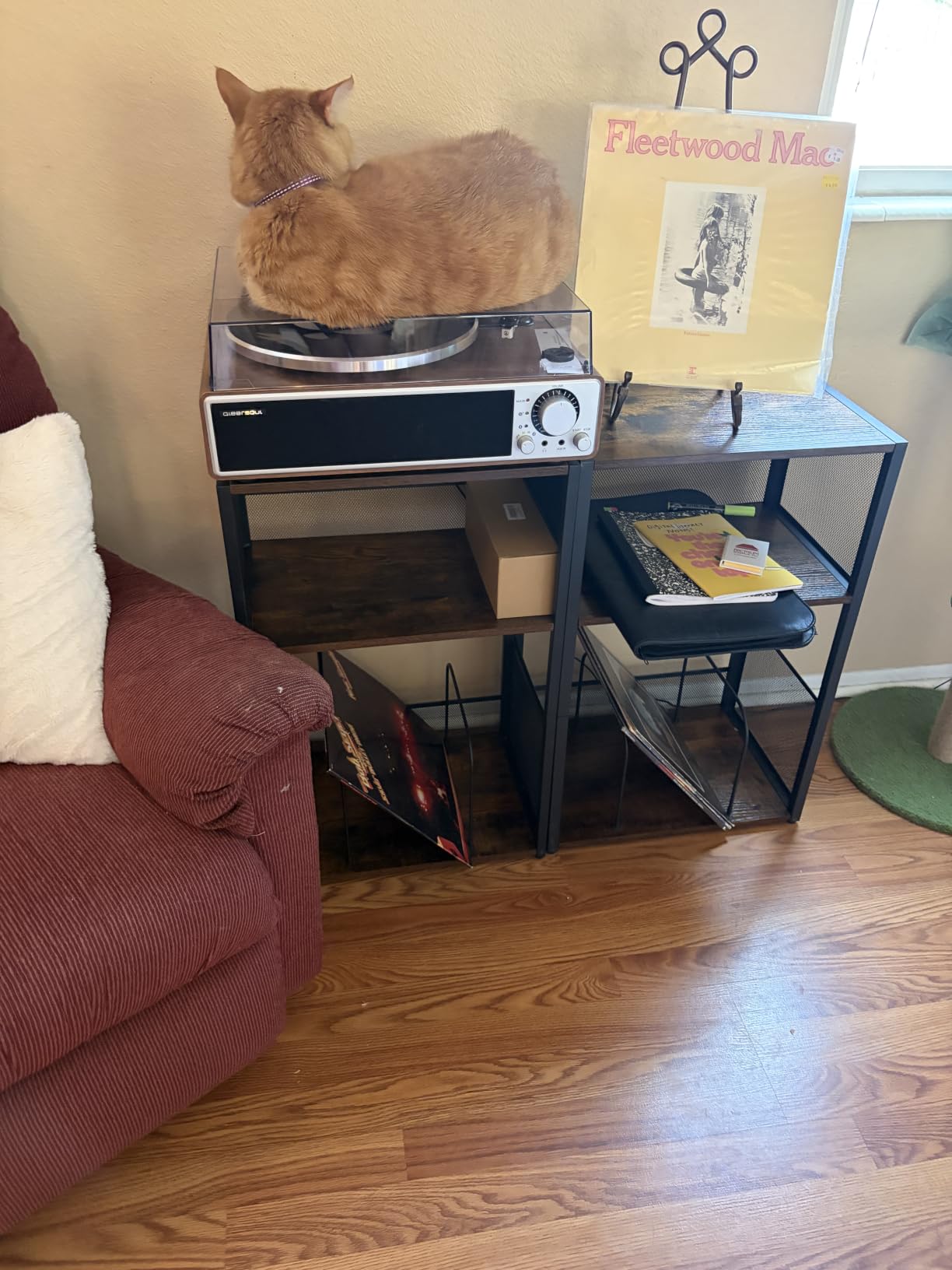 VASAGLE 3-Tier Record Player Stand, Vinyl Record Storage up to 100 Albums | Side Table, End Table for Living Room, Bedroom, Ebony Black, DACEY Collection ULET275B01 customer photo 2
