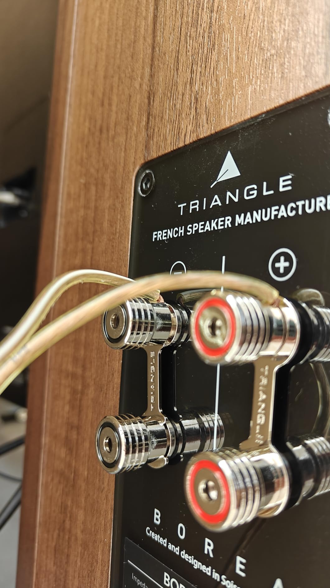 Triangle Borea BR04 Bookshelf Speakers Pair - High Fidelity - 2-Way - 25mm EFS Silk Dome Tweeter (Chestnut) customer photo 1