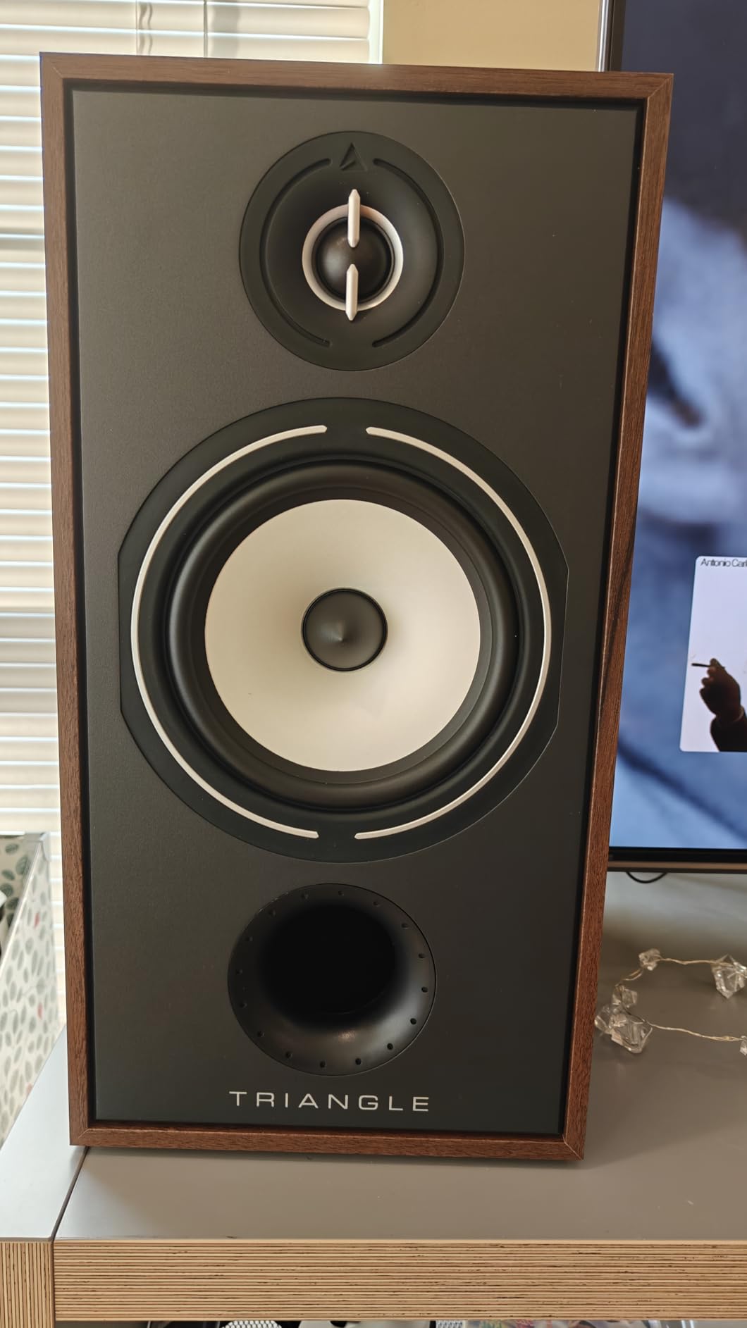 Triangle Borea BR04 Bookshelf Speakers Pair - High Fidelity - 2-Way - 25mm EFS Silk Dome Tweeter (Chestnut) customer photo 2