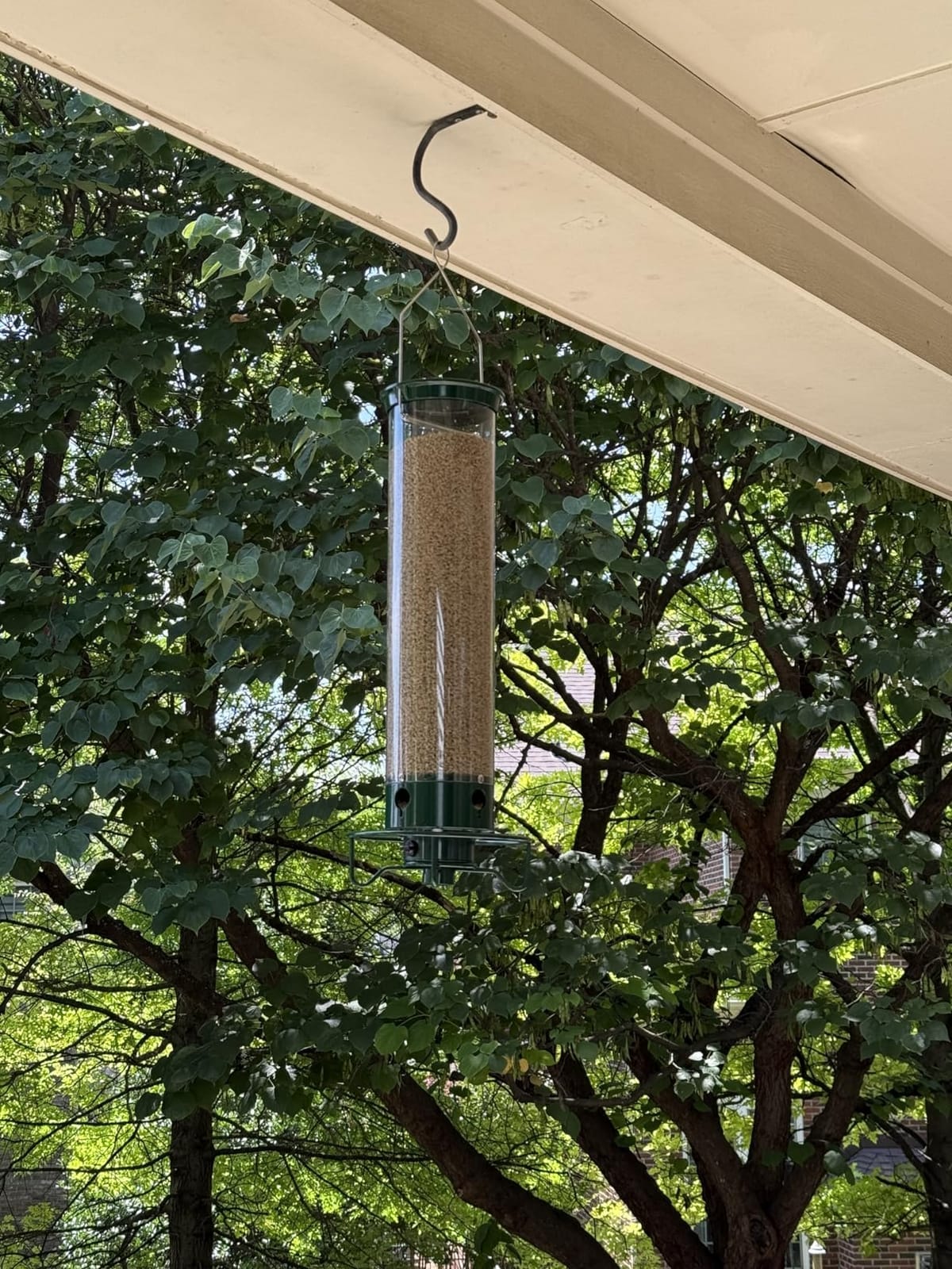 Droll Yankees Squirrel Proof Bird Feeder for Outdoors, 5 lb Seed Capacity customer photo 1