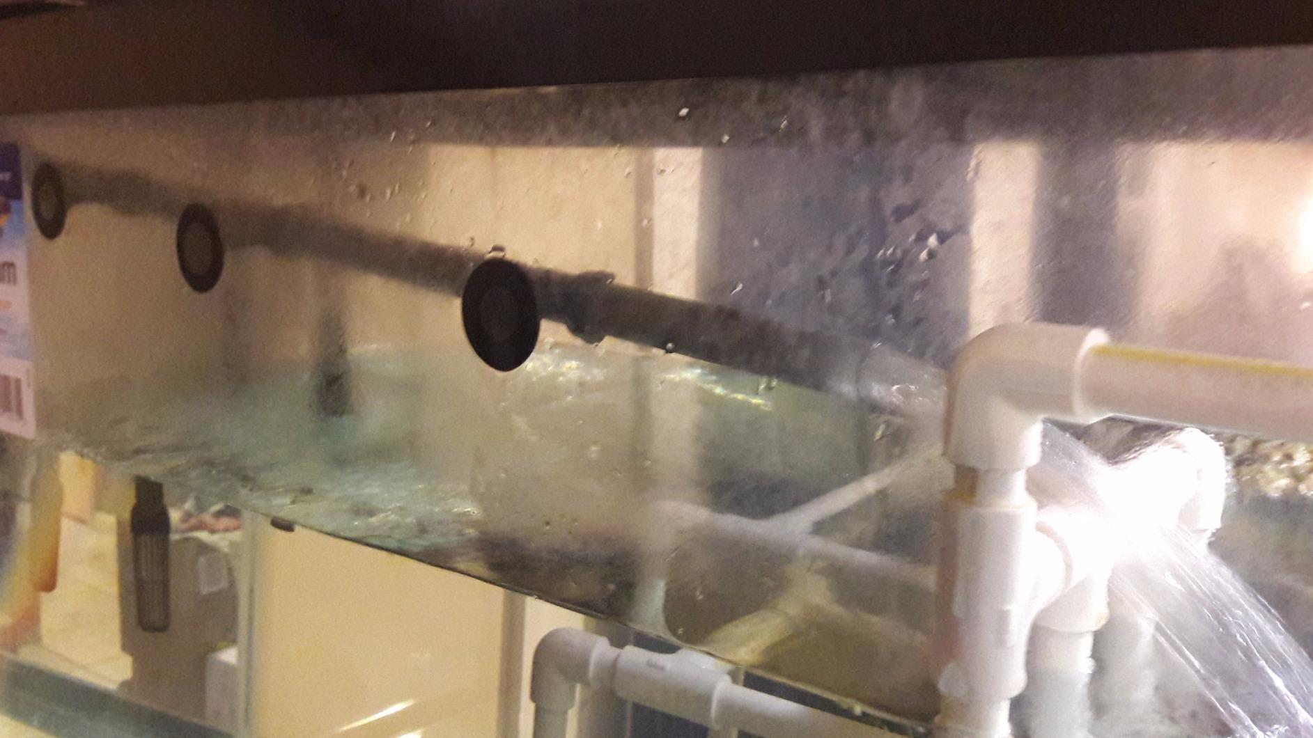 Penn-Plax Cascade 1200 Canister Filter - 315 GPH Aquarium Filter for Tanks Up to 150 Gallons - 360 Degree Flow Valves, Poly Fiber Pads, Bio-Sponge & Activated Carbon -Fresh & Saltwater -11.5x11x20.5in customer photo 2