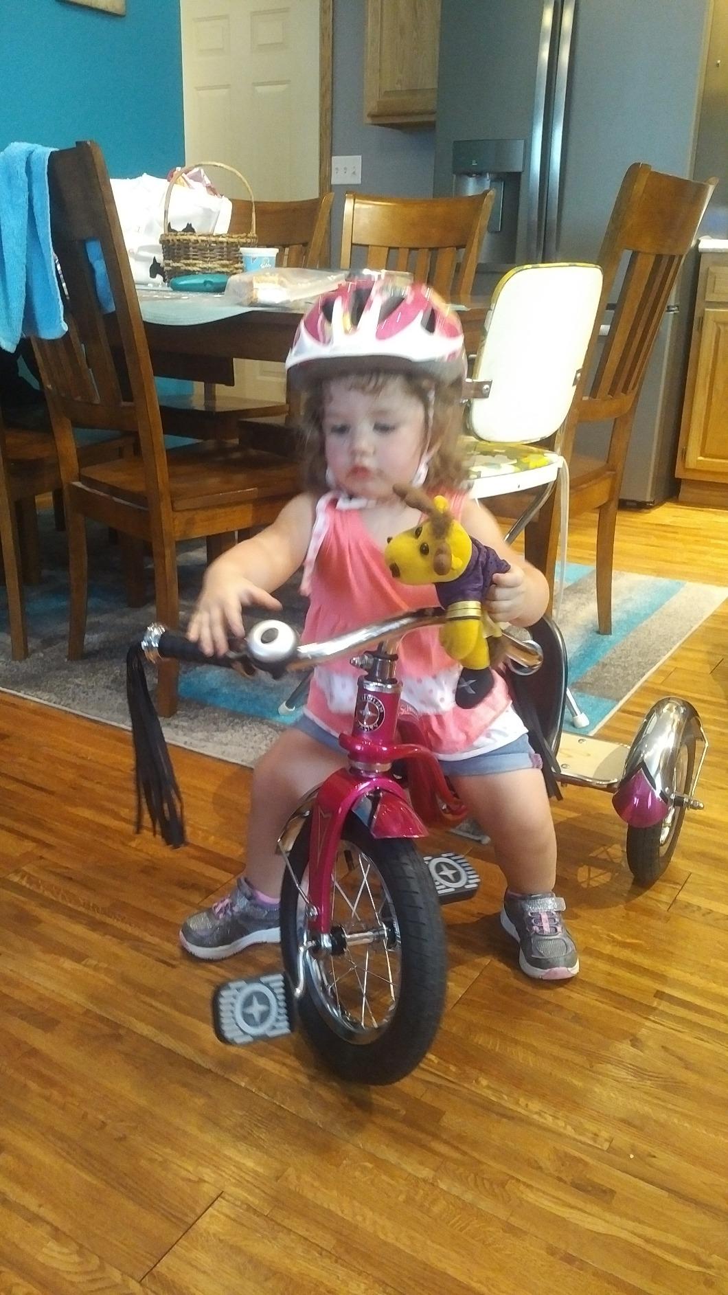Schwinn Roadster Tricycle, 12 Inch Front Wheel Bike for Kids Ages 2-4, Low Center of Gravity, Retro Steel Frame, Adjustable Seat Grows with your Child, Rear Deck, Tricycle for Toddlers customer photo 2