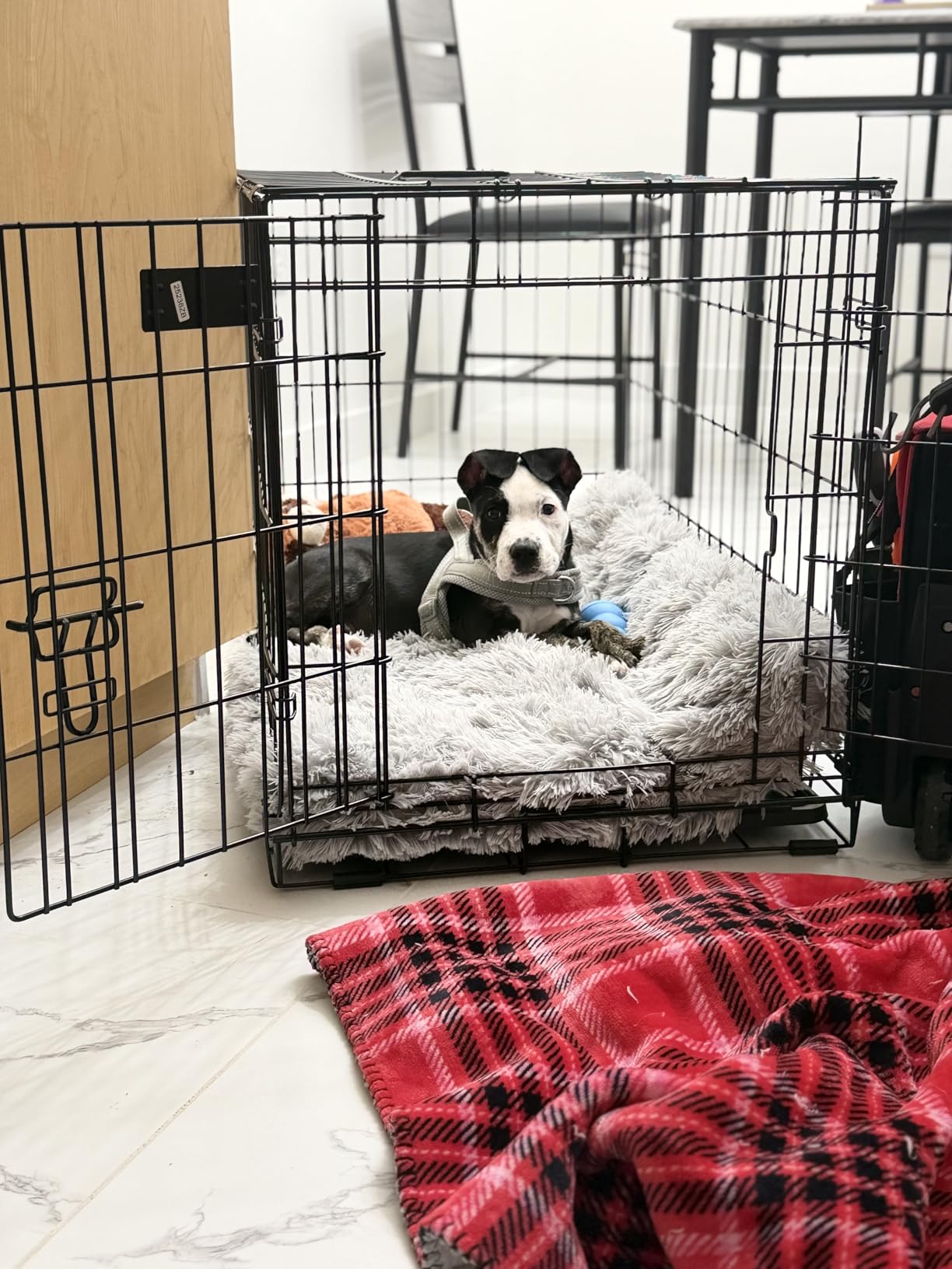Midwest 48-Inch Single Door iCrate, for Extra-Large Breeds, 90-110 lbs customer photo 2