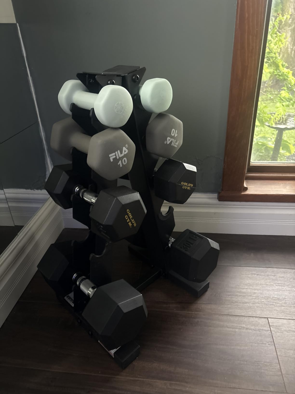 CAP A-Frame Dumbbell Weight Rack customer photo 2