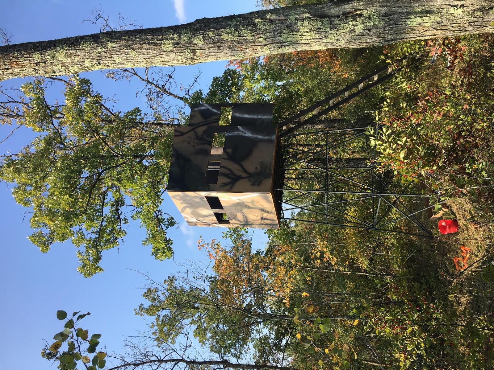 Guide Gear 10' Elevated Hunting Tower Platform Climbing Ladder Stand customer photo 2