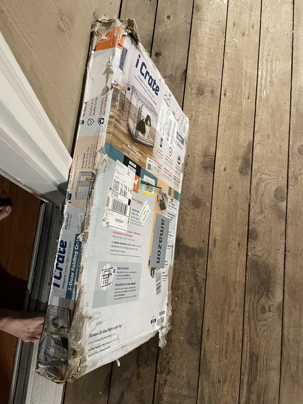 Solutions by Midwest 54-Inch Double Door Crate, Giant Breed Dogs, 100+ lbs customer photo 2