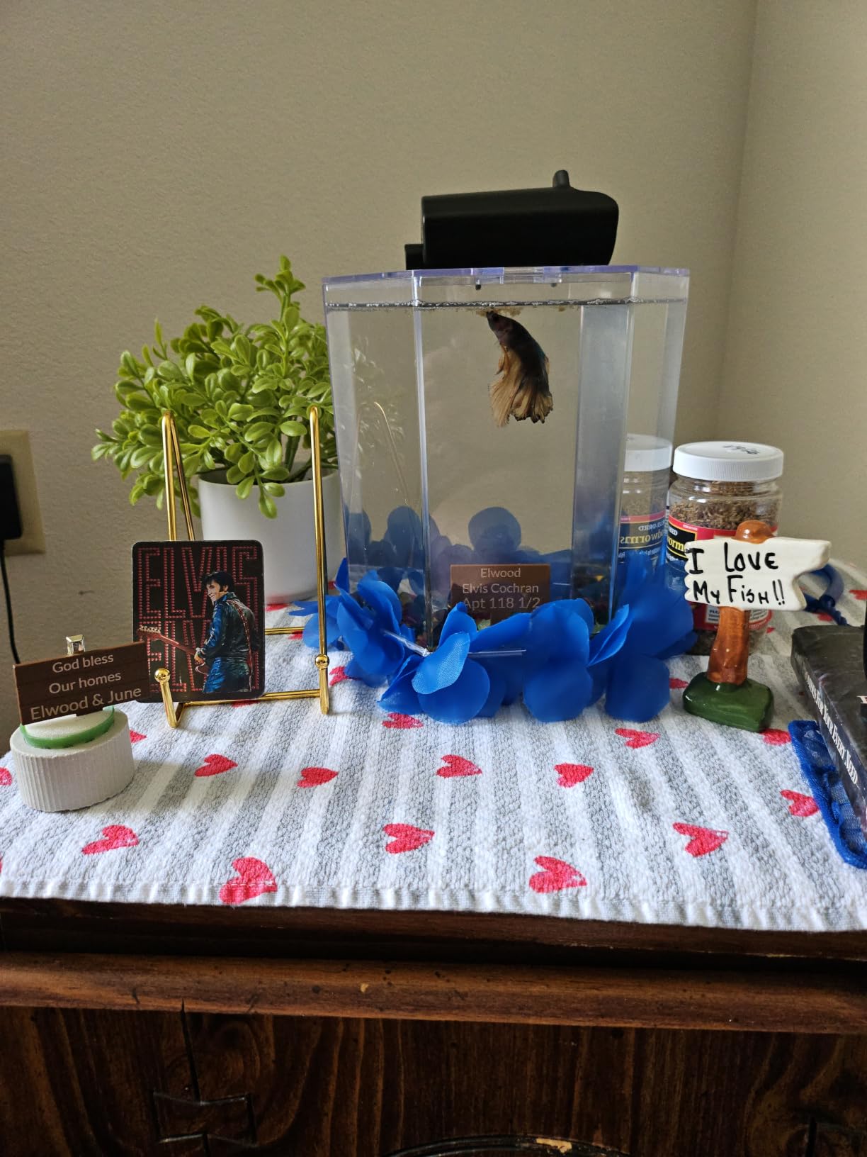 Tetra Starter 1 Gallon Small Fish Tank Kit for Freshwater Fish customer photo 1