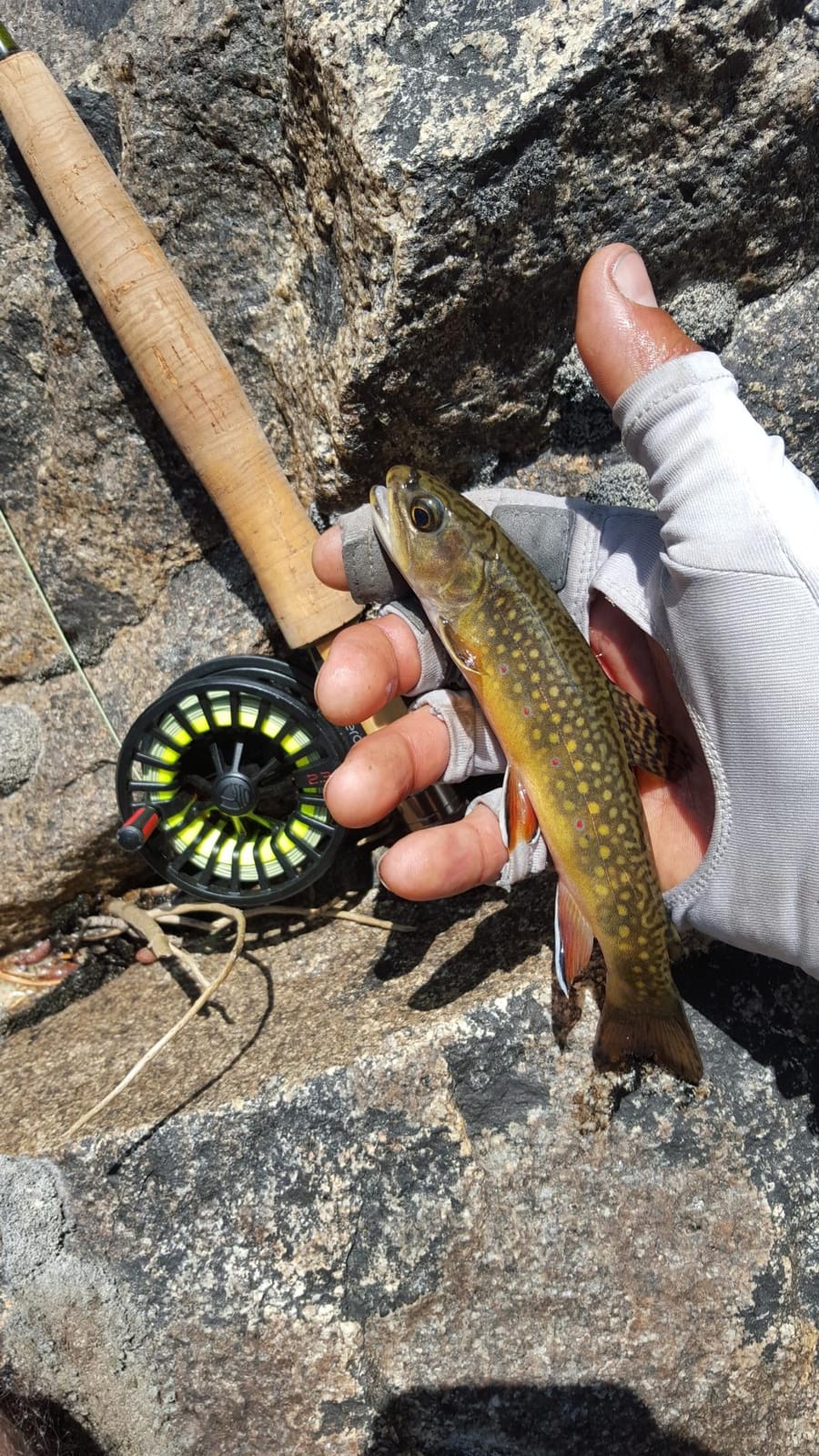 Redington Zero Fly Fishing Reel – Ultralight Trout Reel with Clicker Drag System, Large Arbor, Quick-Change Spool & Twin-Molded Handle – Durable Die-Cast Construction customer photo 1