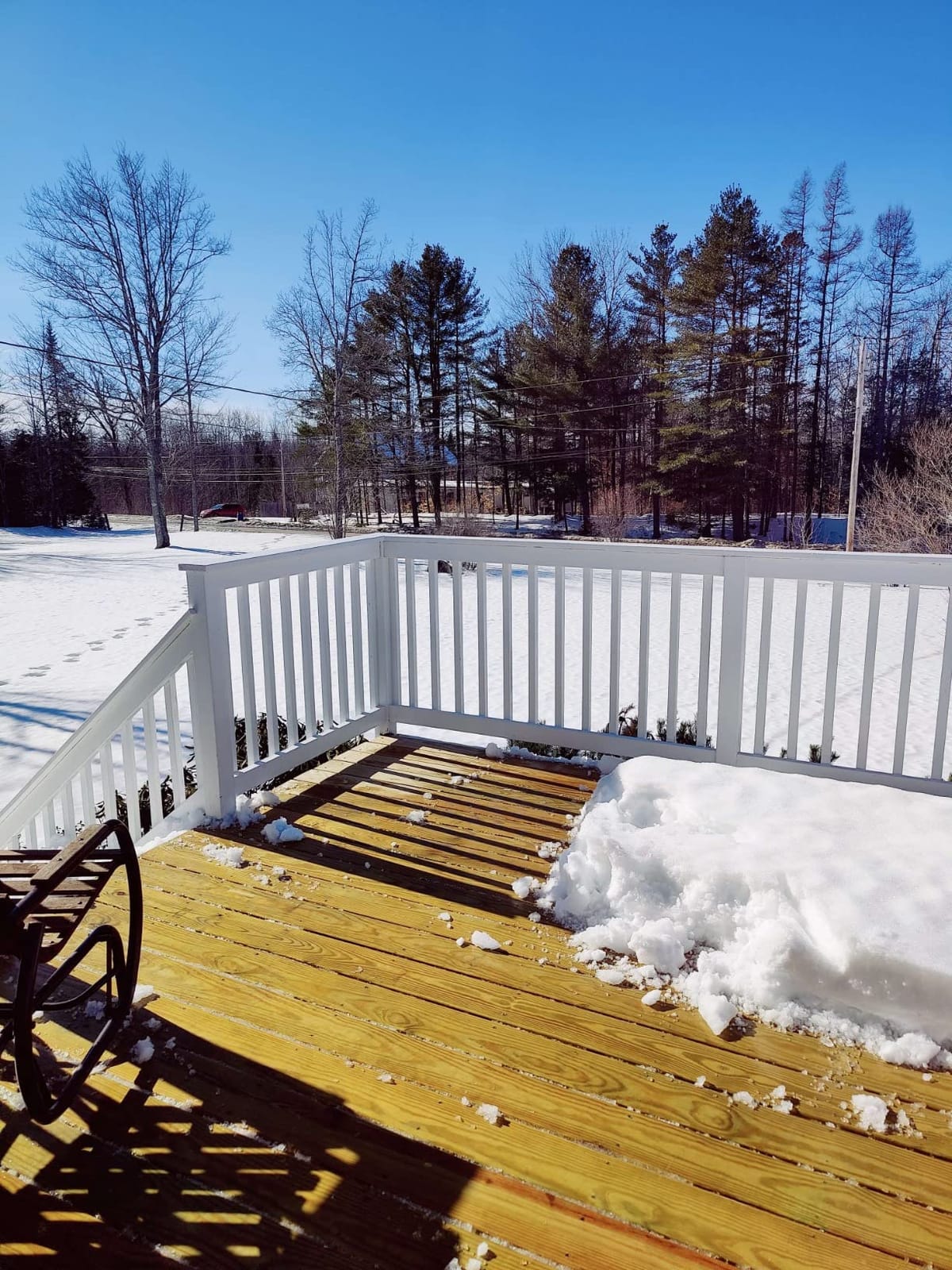 The Snowplow the Original Snow Pusher 30