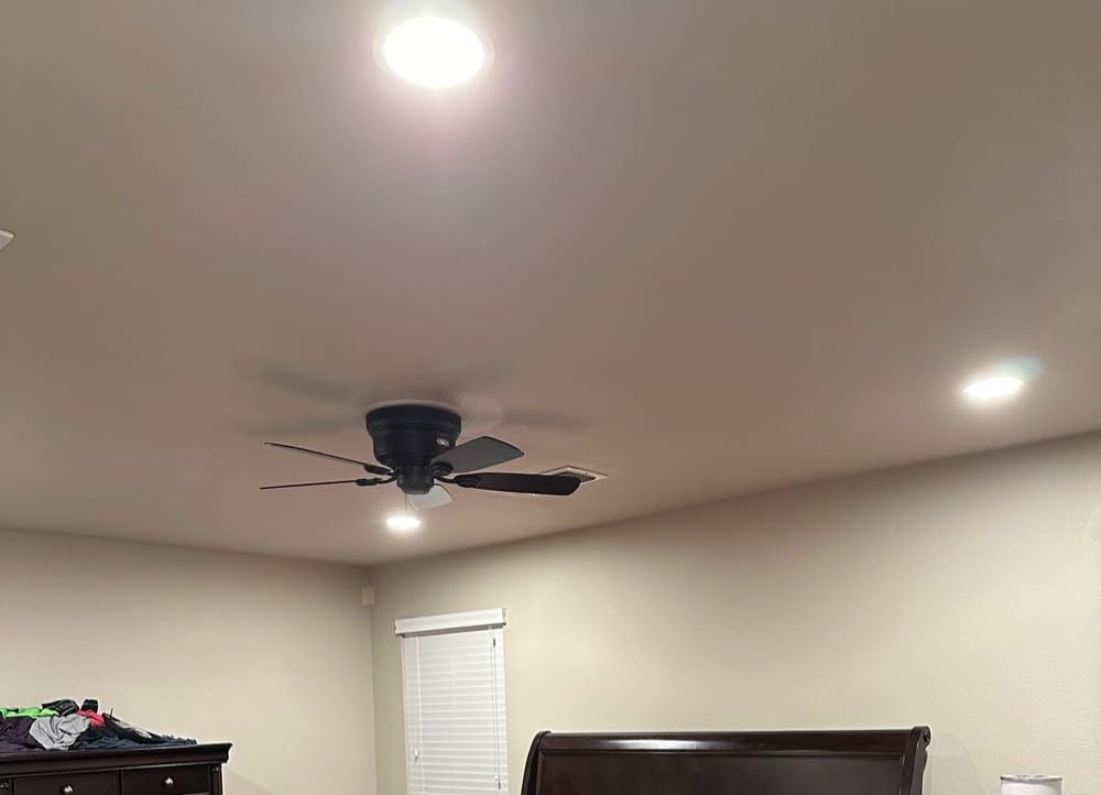 Hunter Low Profile IV, Indoor, Ceiling Fan, No Light, 42 inch, New Bronze customer photo 2