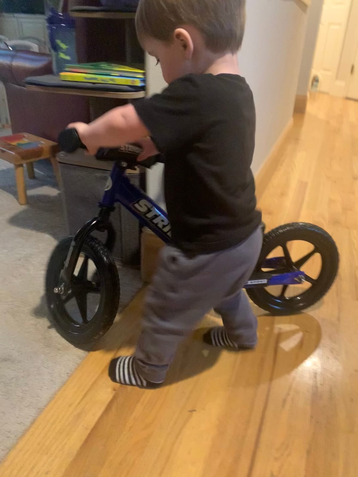 Strider 12 Sport, No Pedal Balance Bike for Kids Ages 1–4 Years, Pink customer photo 2