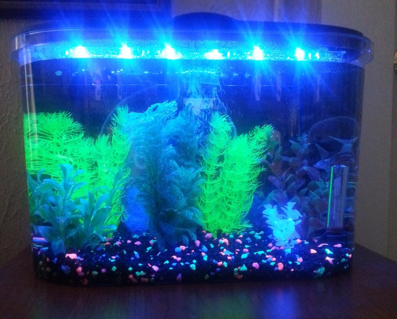 Koller Products 5-Gallon Aquarium Kit with LED Lighting and Power Filter, Ideal for a Variety of Tropical Fish customer photo 1
