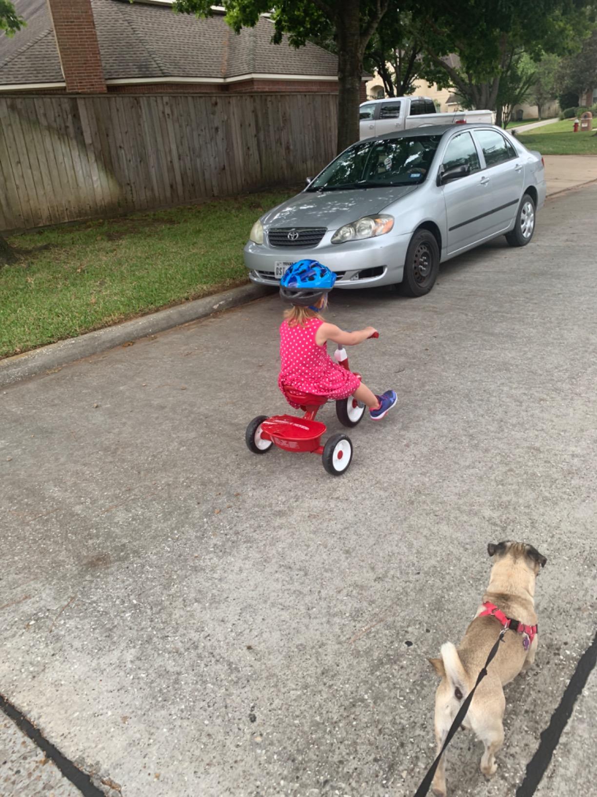 Radio Flyer Red Rider Trike, for Ages 2.5-5, Toddler Tricycle customer photo 2
