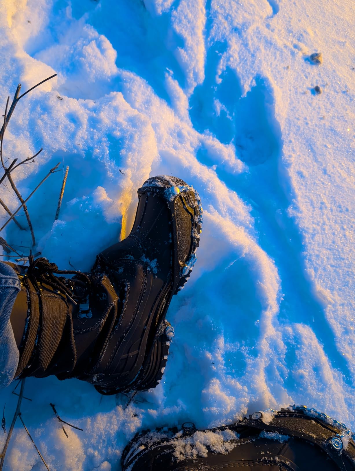 Yaktrax Diamond Grip - Full-Foot Traction on Ice, Snow, & Multi-Terrain Surfaces - Swiveling Diamond Bead Grip Points - Cold-Resistant Easy On/Off Elastic Upper Band customer photo 2