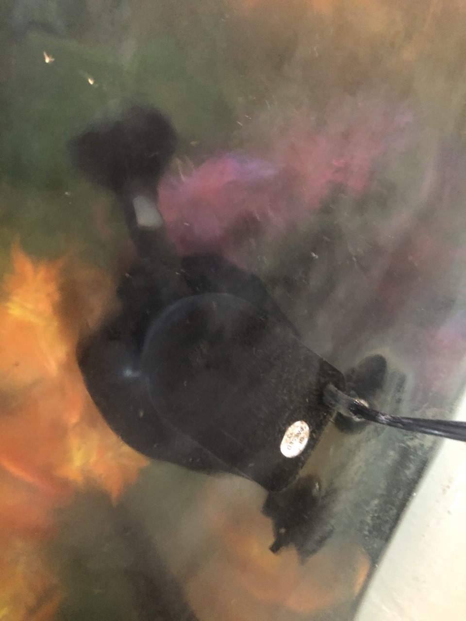 Marineland Magnum Polishing Internal Canister Filter, For Aquariums Up To 97 Gallons customer photo 2