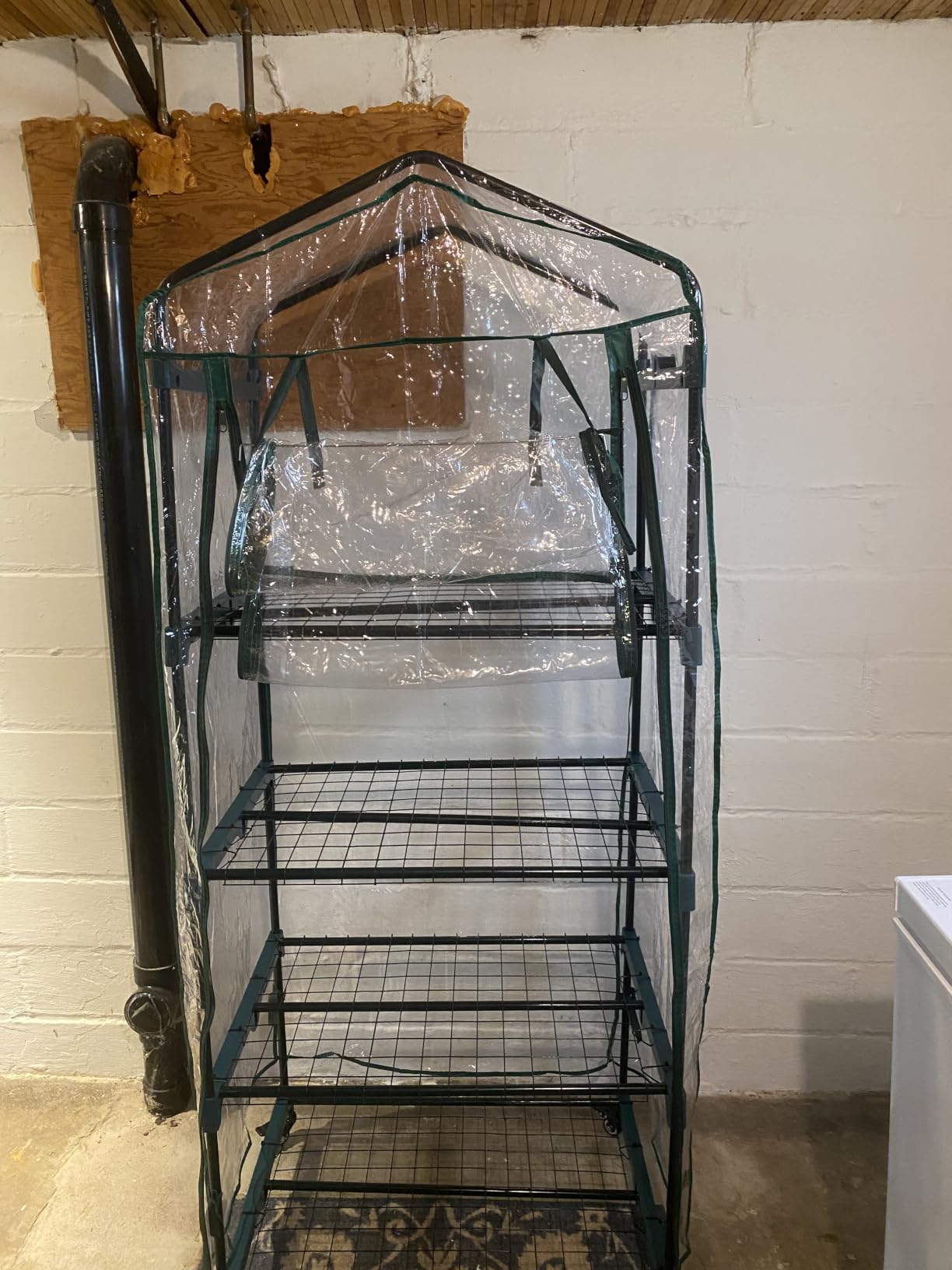 4 Tier Mini Greenhouse - Portable Greenhouse with Locking Wheels and PVC Cover for Indoor or Outdoor Green House by Pure Garden customer photo 2
