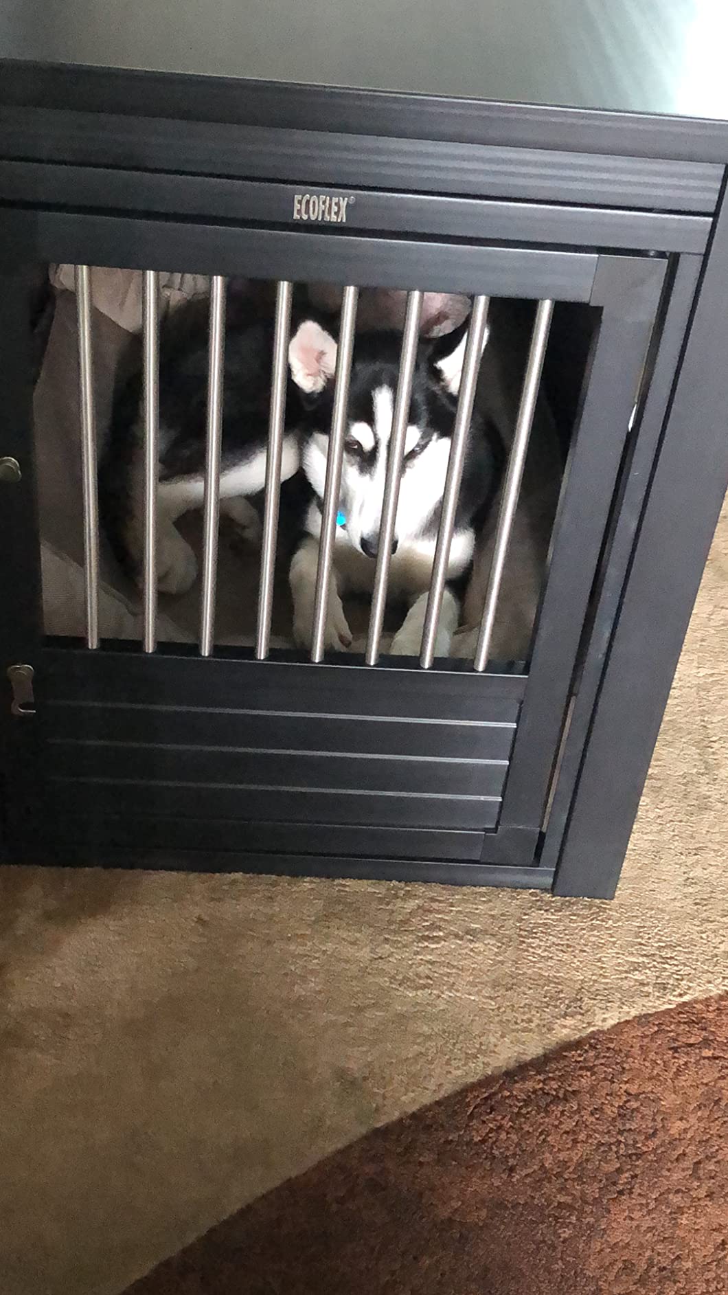 New Age Pet® ECOFLEX® Medium Furniture Style Dog Crate & End Table, White customer photo 2