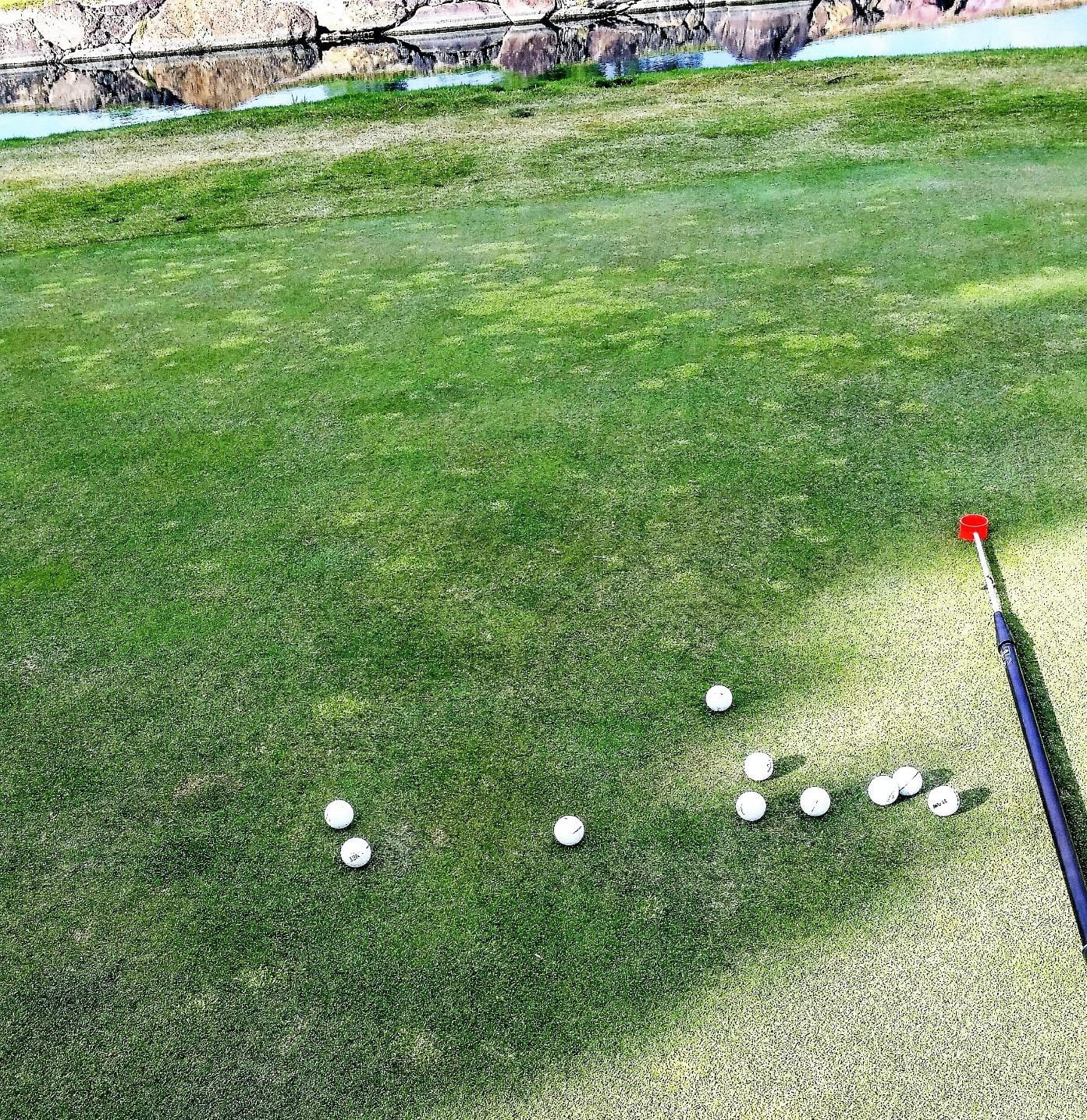 JP Lann Golf Ball Retrievers customer photo 1