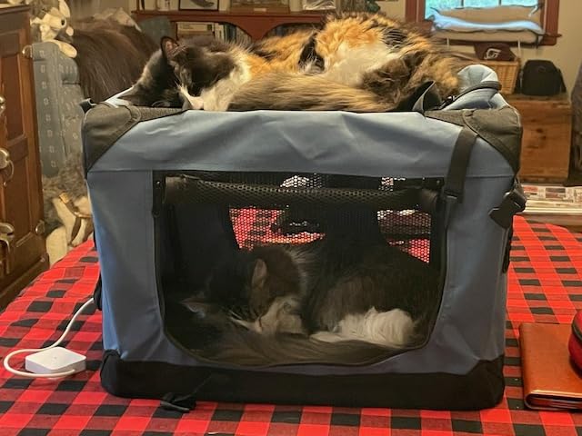 EliteField 3-Door Soft Dog Crate with Bed & Carrying Bag (2-Year Warranty) customer photo 1