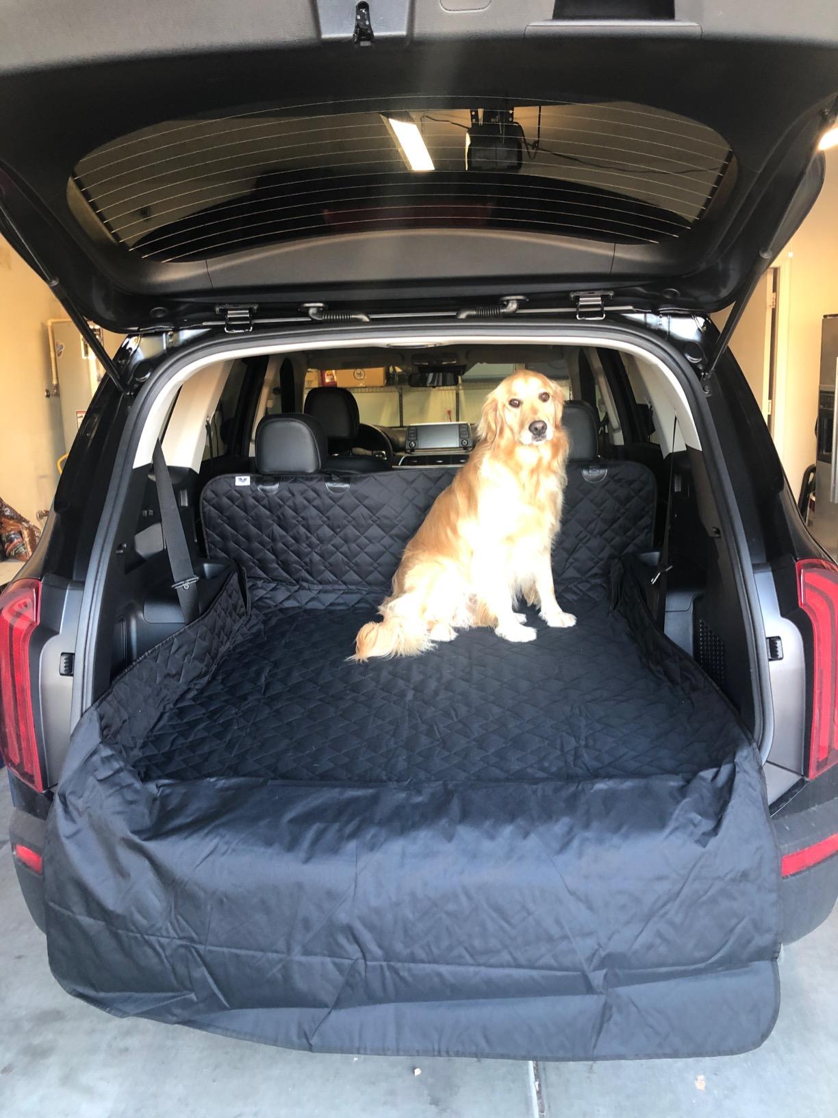 Arf Pets SUV Dog Cargo Liner Cover for SUVs and Cars, Waterproof Material, Non Slip Backing, Extra Bumper Flap Protector, Large Size - Universal Fit customer photo 1