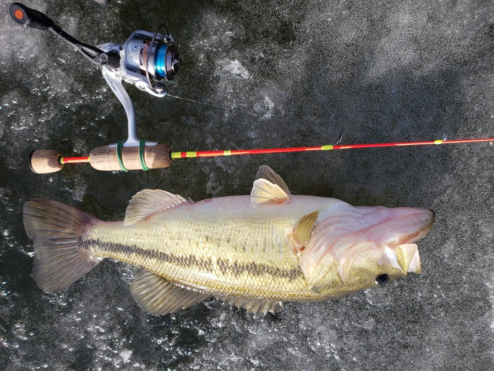 Pflueger MONICEB Monarch Ice Spinning Reel customer photo 1