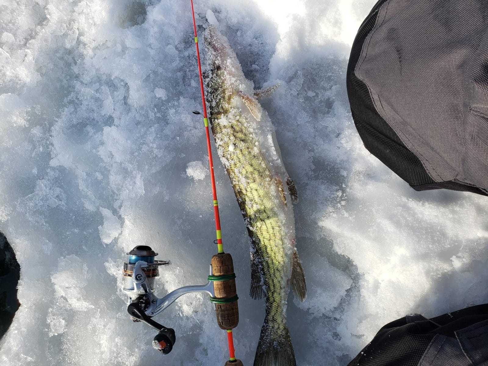 Pflueger MONICEB Monarch Ice Spinning Reel customer photo 2