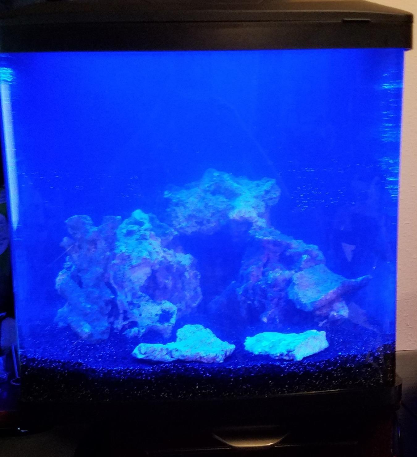 Coralife BioCube, Aquarium Kit, Integrated 24-hour Timer, Customizable LED Lighting, for Saltwater and Freshwater Environments, 32 Gallon customer photo 1