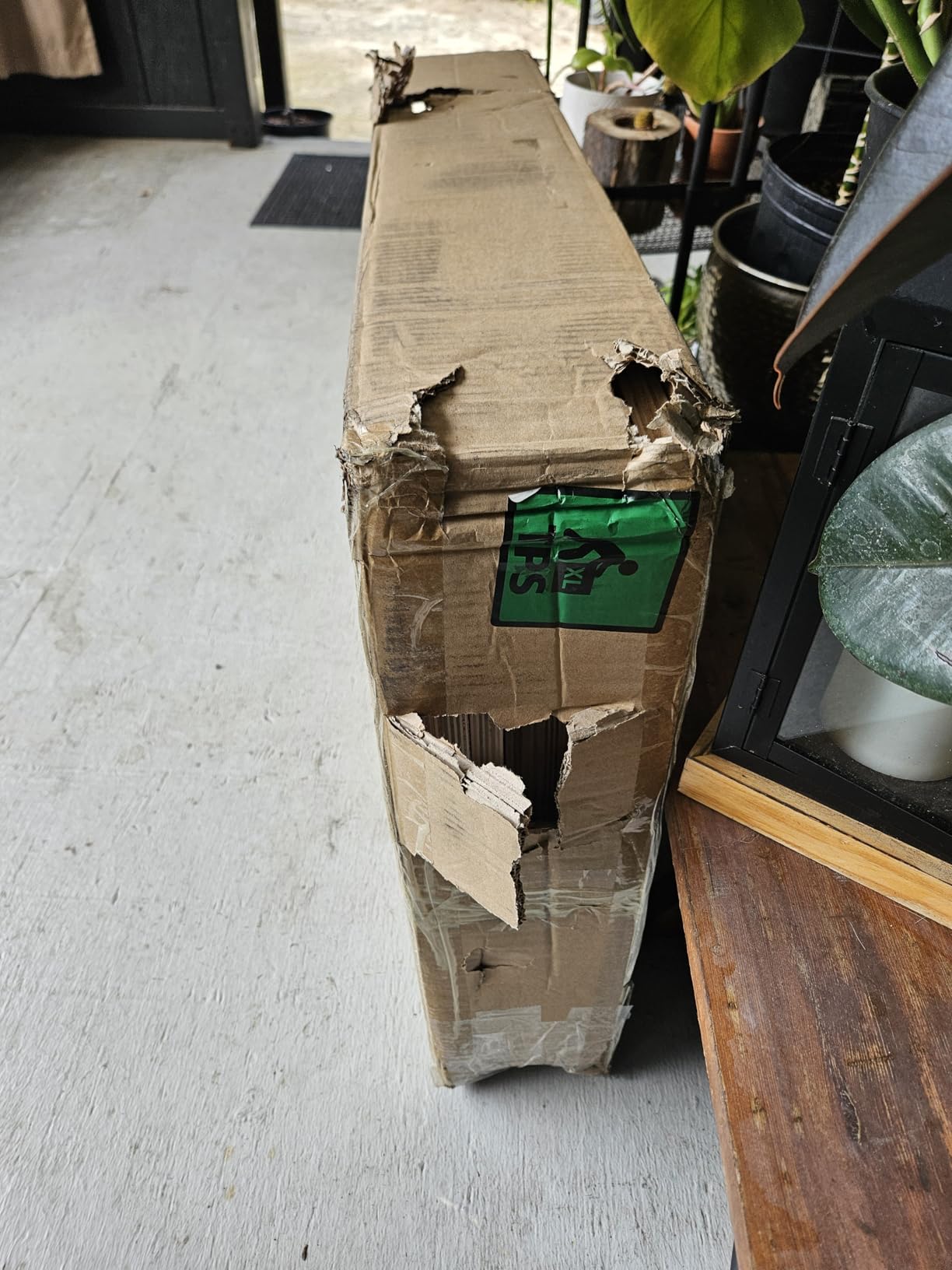 Synergee 3 in 1 Wood Plyo Box – Multiple Sizes customer photo 2