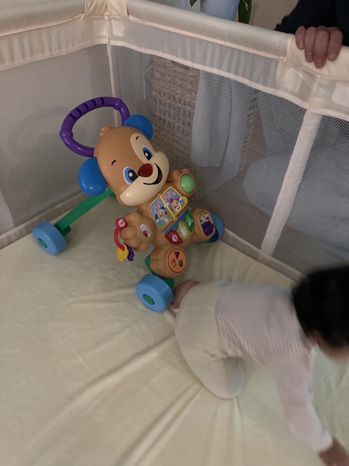 Fisher-Price Laugh & Learn Smart Stages Puppy Walker customer photo 1