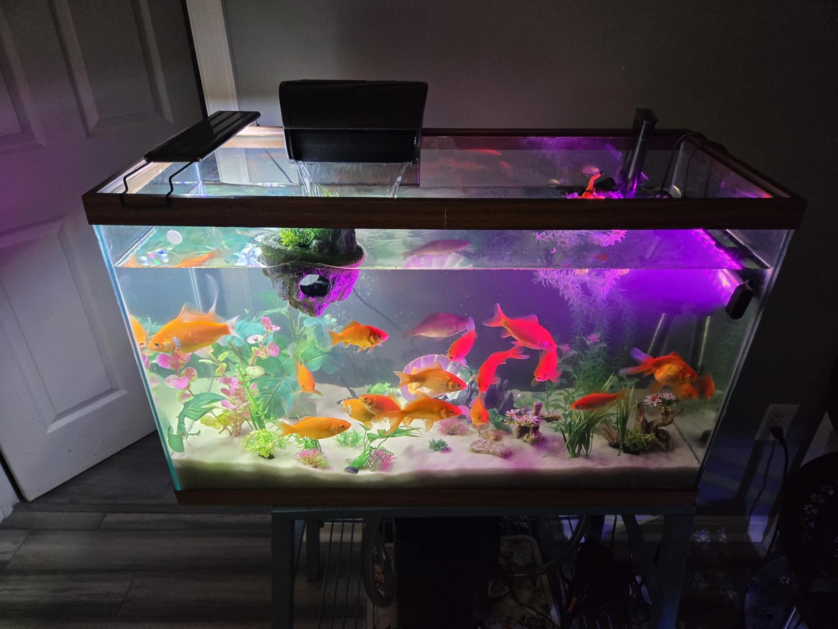 Aqueon QuietFlow Canister Aquarium Filter, Up to 150 Gallons (ECOM) | 150 gallon fish tank filter with biological, chemical and mechanical stages, spray bar and polishing unit customer photo 2