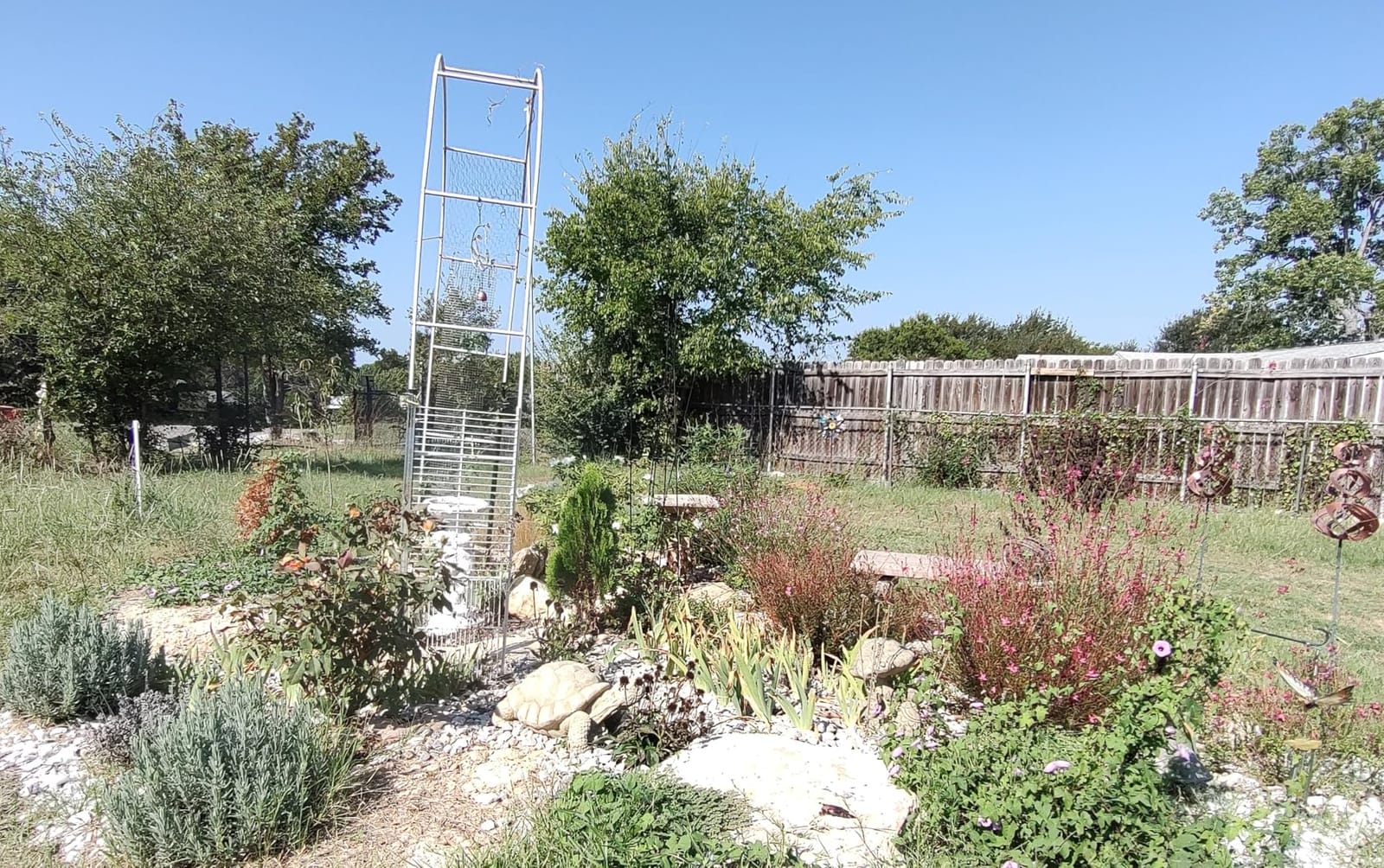 Metal Garden Arch 5.5ft W, 16mm Thick Steel Tube for Climbing Roses & Vines customer photo 2