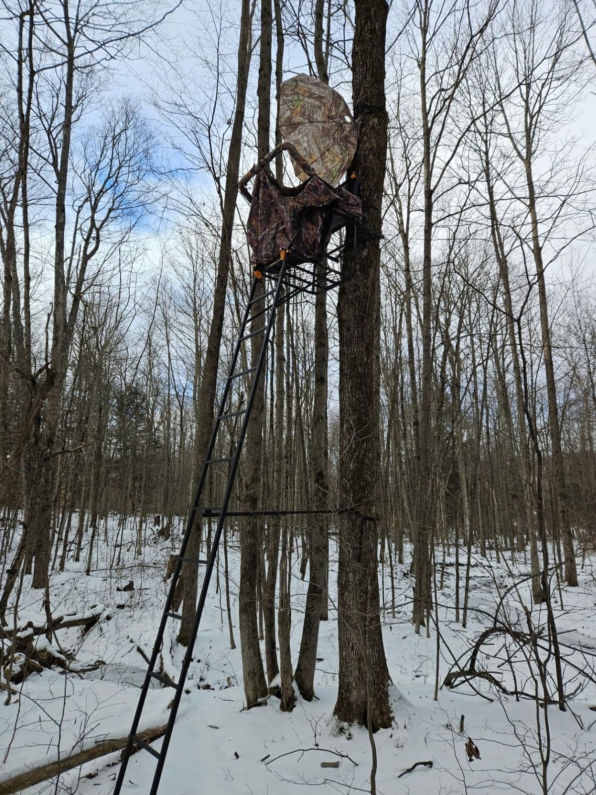 MUDDY Deer Hunting Climbing Adjustable Quiet Heavy-Duty Huntsman Deluxe 17 ft 1-Person Ladder Tree Stand customer photo 1