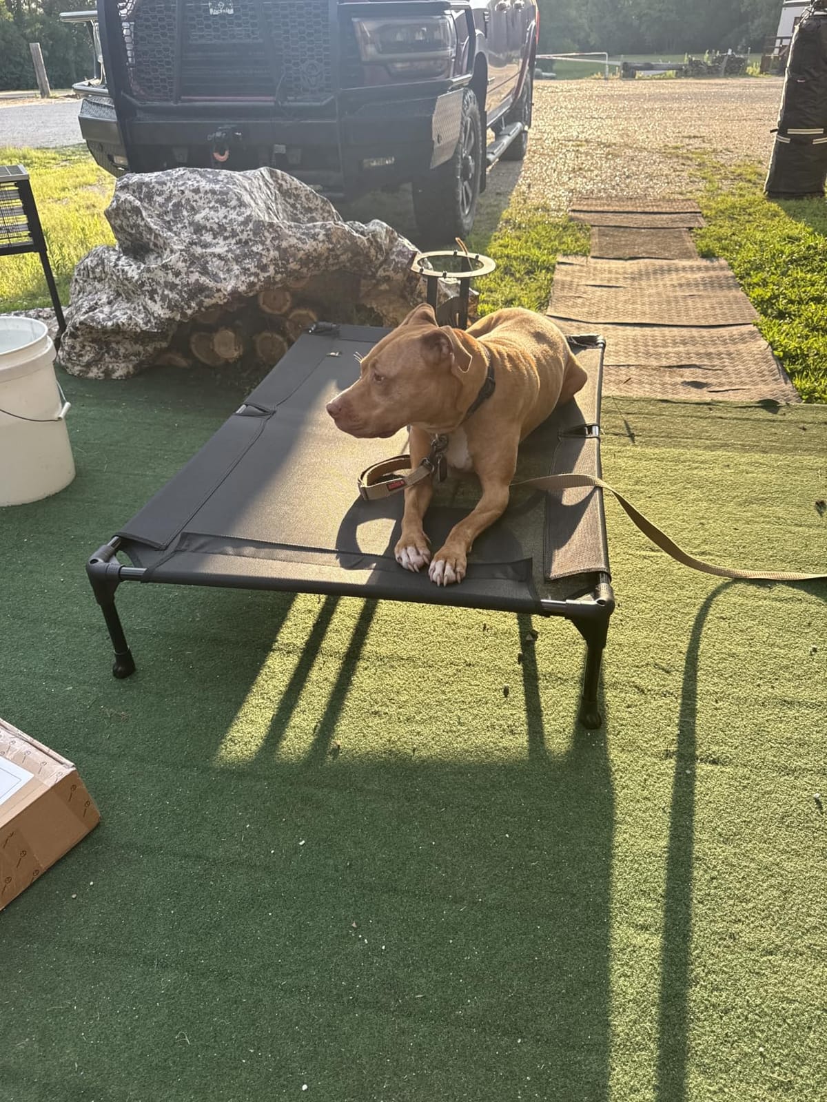 Veehoo Outdoor Elevated Dog Bed Large Sized Dogs, Cooling Raised Dog Cots customer photo 2