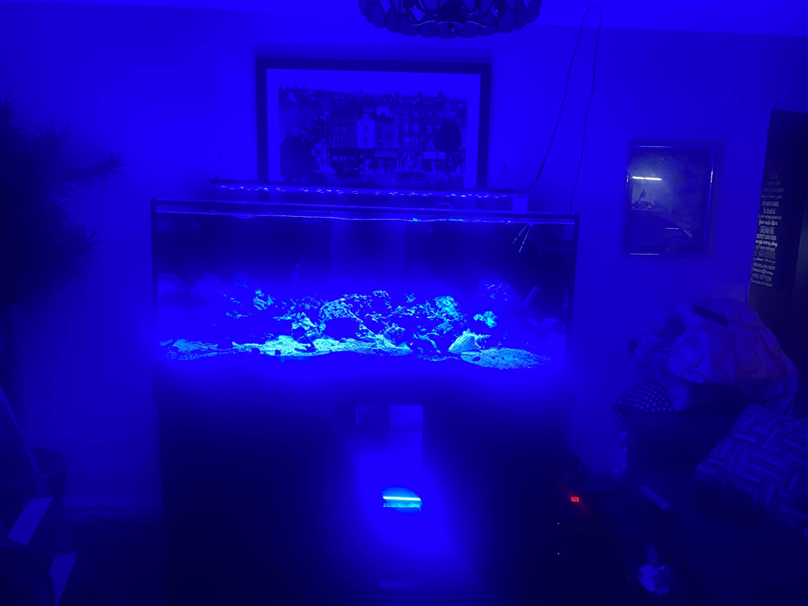 Empire USA Starfire Glass Aquarium 60x24x24 Inch 150 Gallon customer photo 1