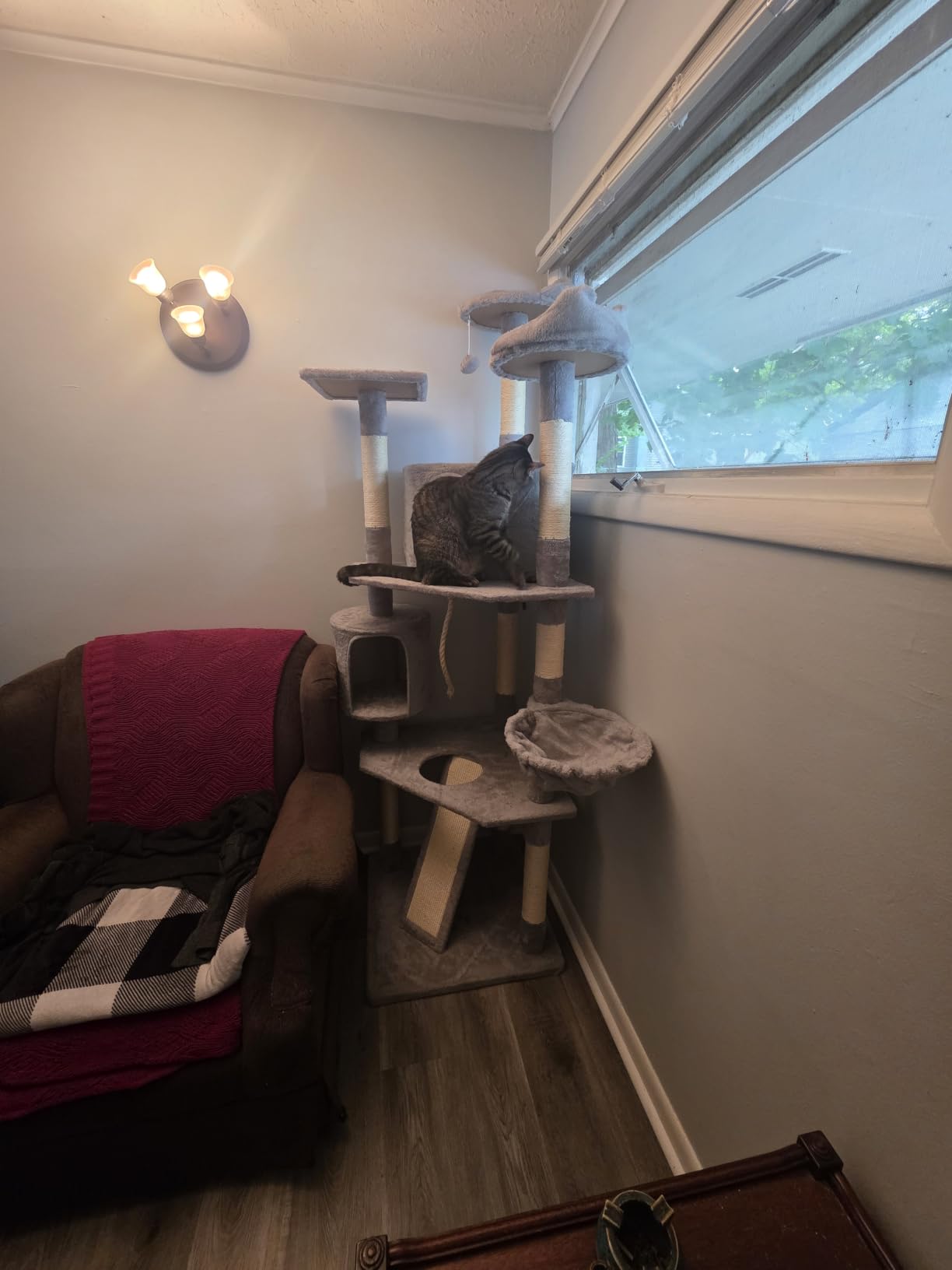 Yaheetech 79in Multi-Level Cat Tree for Multiple Cats with 9 sisal Posts customer photo 1