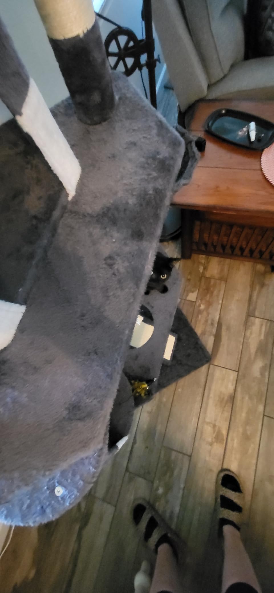Yaheetech 79in Multi-Level Cat Tree for Multiple Cats with 9 sisal Posts customer photo 2