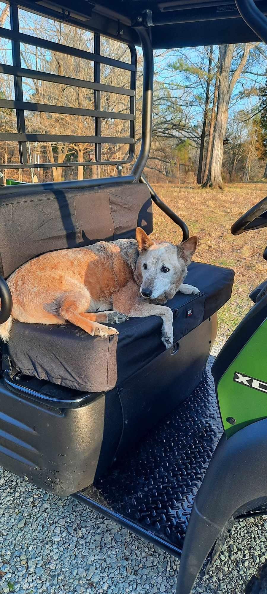 KEMIMOTO UTV Seat Cover Compatible with Kawasaki Mule 600 610 SX 2005-2023 customer photo 1